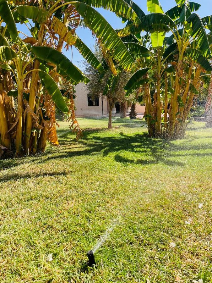 Villa Msholidays Victoria Privatisee Marrakech Marakeş Dış mekan fotoğraf